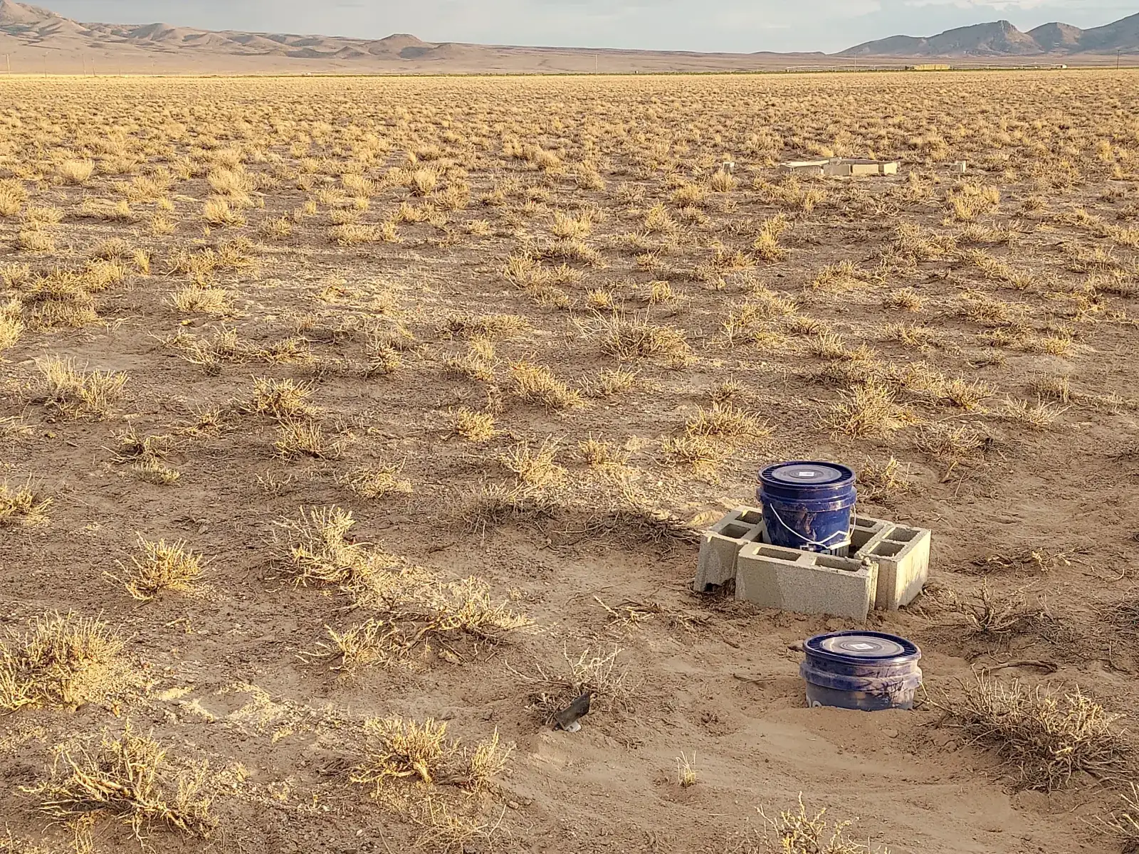 Camper-submitted photo at Area 51 Stake Out - Dreamland Camp near Humboldt-Toiyabe National Forest Headquarters