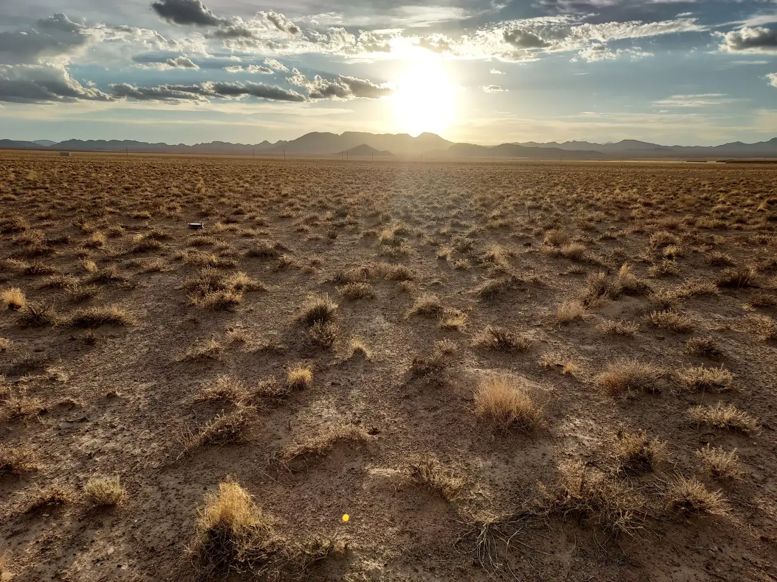 Camper-submitted photo at Area 51 Stake Out - Dreamland Camp near Humboldt-Toiyabe National Forest Headquarters