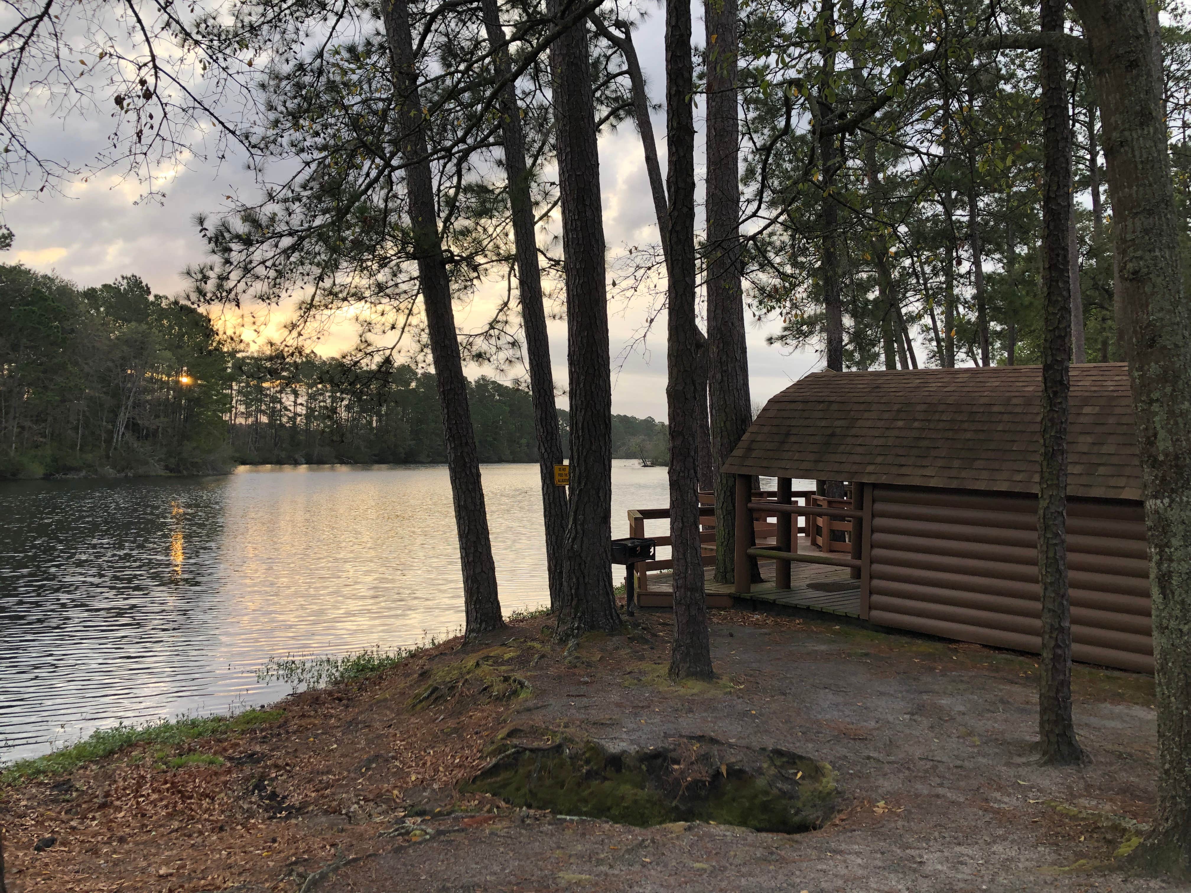 Kirk S.'s photo of glamping accommodations at Savannah South KOA near Hardeeville, SC