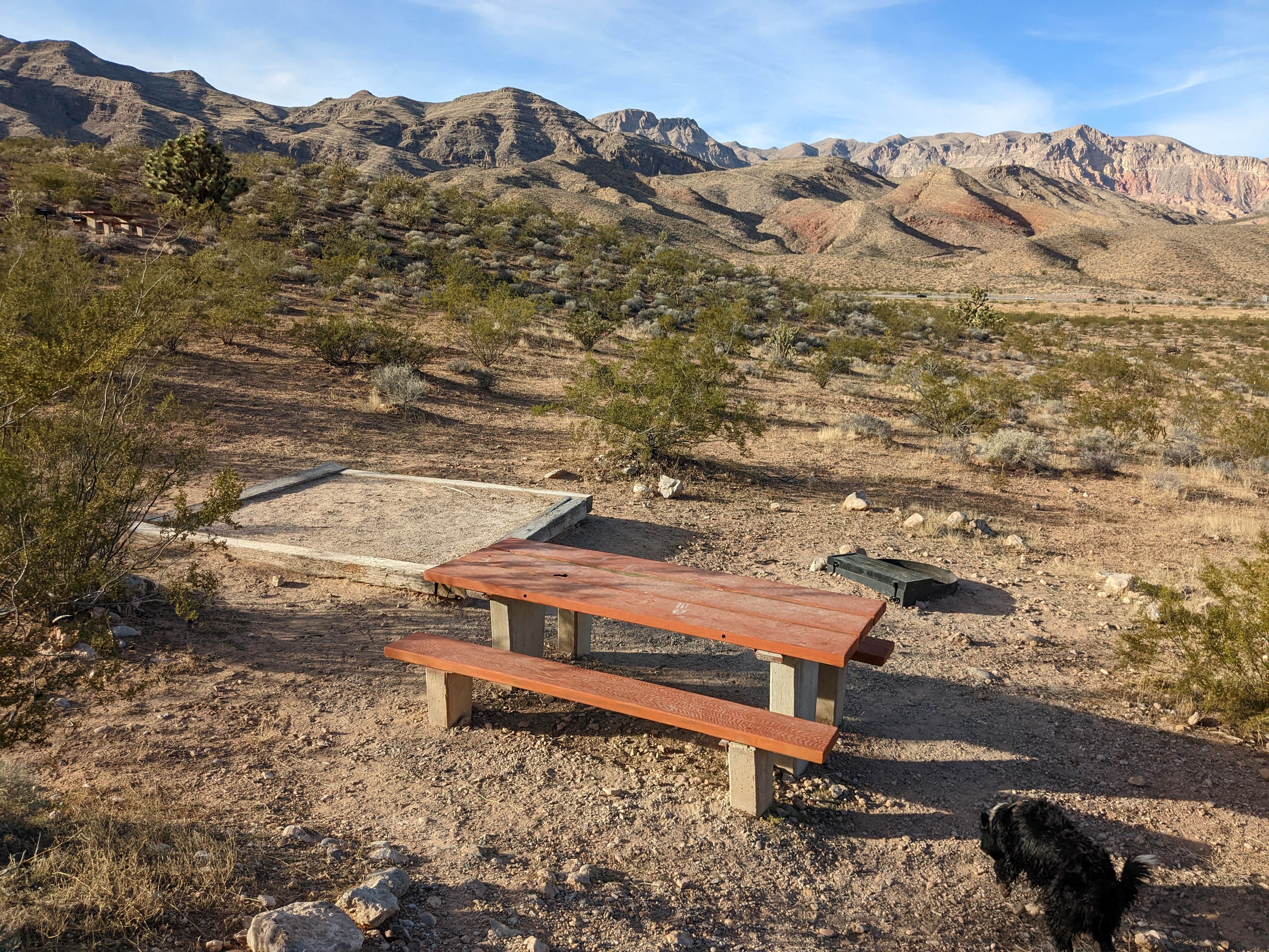 Greg L.'s photo of camping with pets at Virgin River Gorge Recreation Area Campground (BLM) near Bunkerville, NV