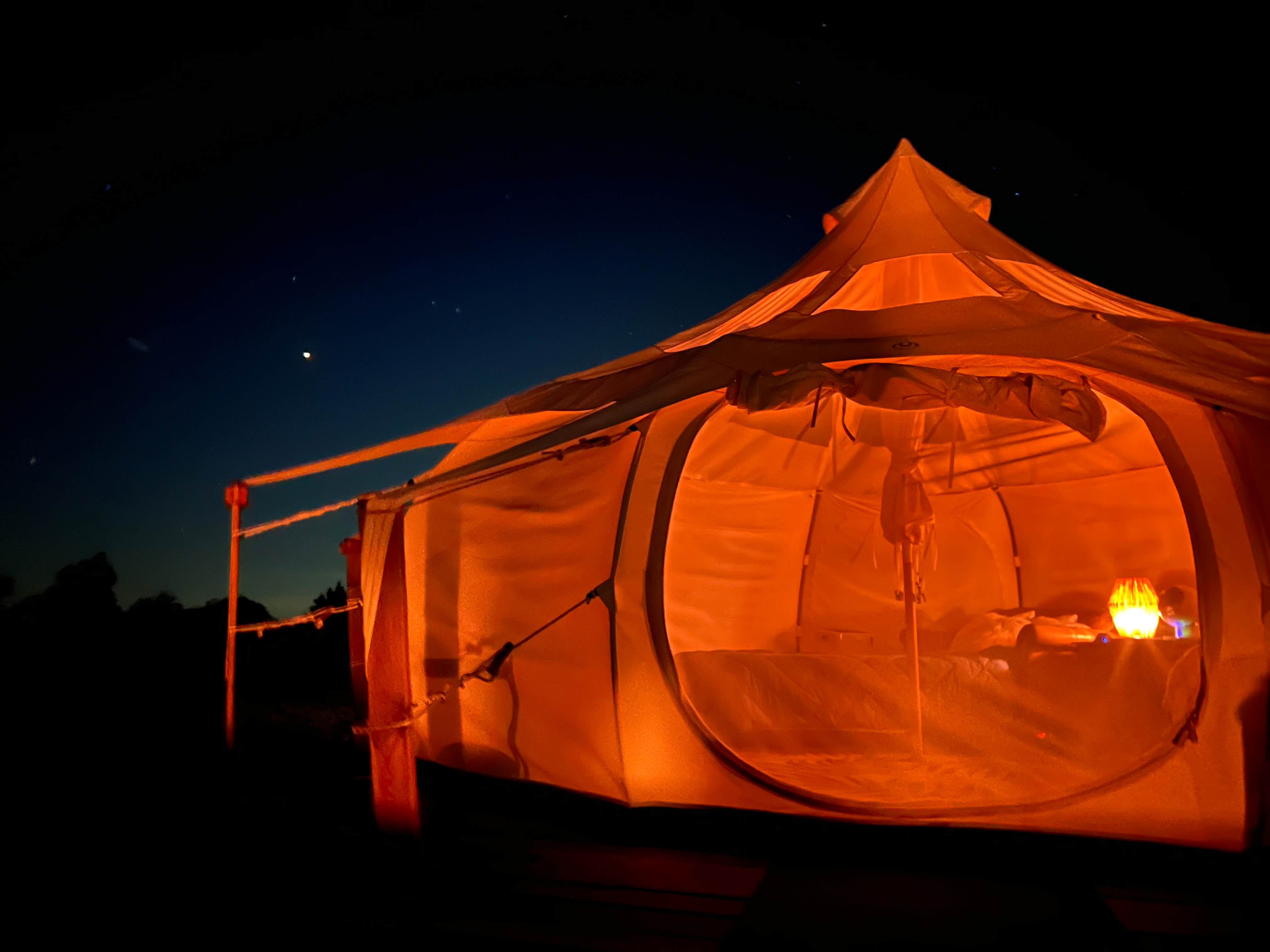 Rachel S.'s photo at Amazing Graze near Cameron, TX