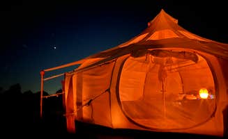 Rachel S.'s photo at Amazing Graze near Giddings, TX