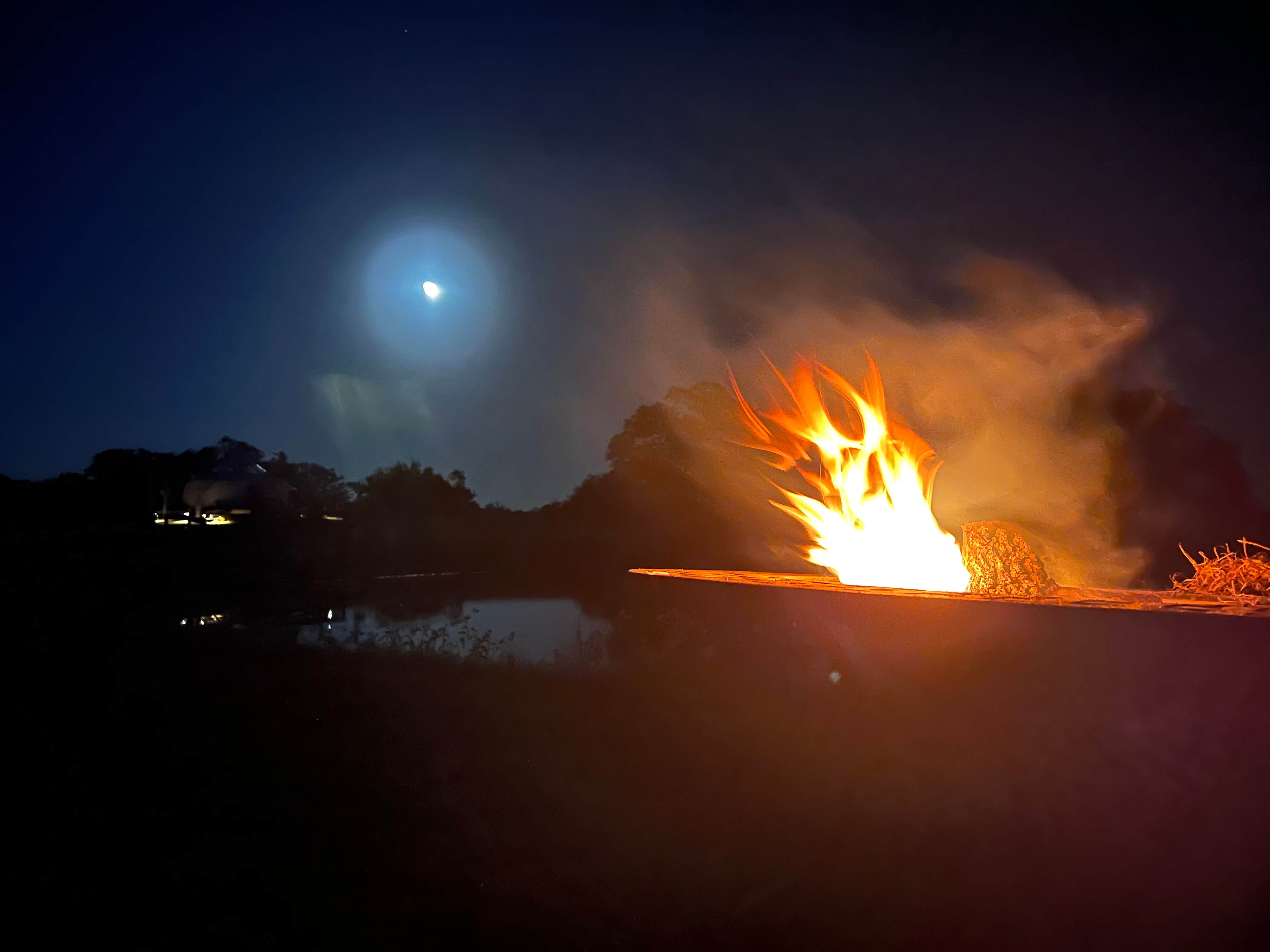 Camper-submitted photo at Amazing Graze near Elgin, TX