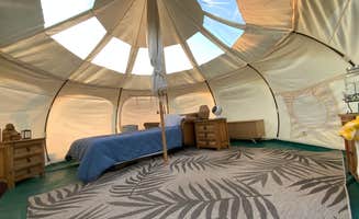 Rachel S.'s photo of glamping accommodations at Amazing Graze near Cedar Park, TX