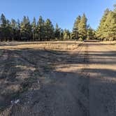 Review photo of Forest Service #247 Road Dispersed Camping by Laura M., November 1, 2022