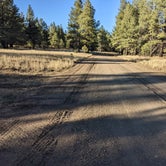 Review photo of Forest Service #247 Road Dispersed Camping by Laura M., November 1, 2022