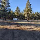 Review photo of Forest Service #247 Road Dispersed Camping by Laura M., November 1, 2022