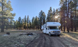 Camping near Kaibab Camper Village: Forest Service #247 Road Dispersed Camping, Jacob Lake, Arizona