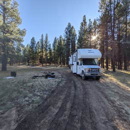 Forest Service #247 Road Dispersed Camping