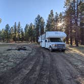 Review photo of Forest Service #247 Road Dispersed Camping by Laura M., November 1, 2022