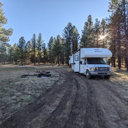Forest Service #247 Road Dispersed Camping