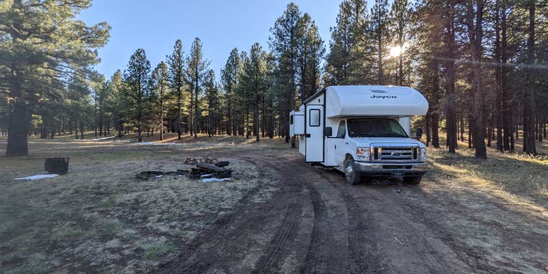 Camper submitted image from Forest Service #247 Road Dispersed Camping