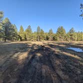 Review photo of Forest Service #247 Road Dispersed Camping by Laura M., November 1, 2022