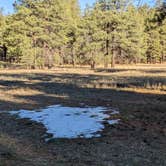 Review photo of Forest Service #247 Road Dispersed Camping by Laura M., November 1, 2022