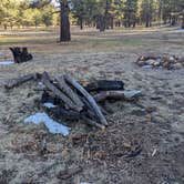 Review photo of Forest Service #247 Road Dispersed Camping by Laura M., November 1, 2022