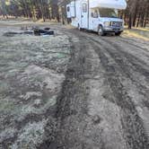 Review photo of Forest Service #247 Road Dispersed Camping by Laura M., November 1, 2022