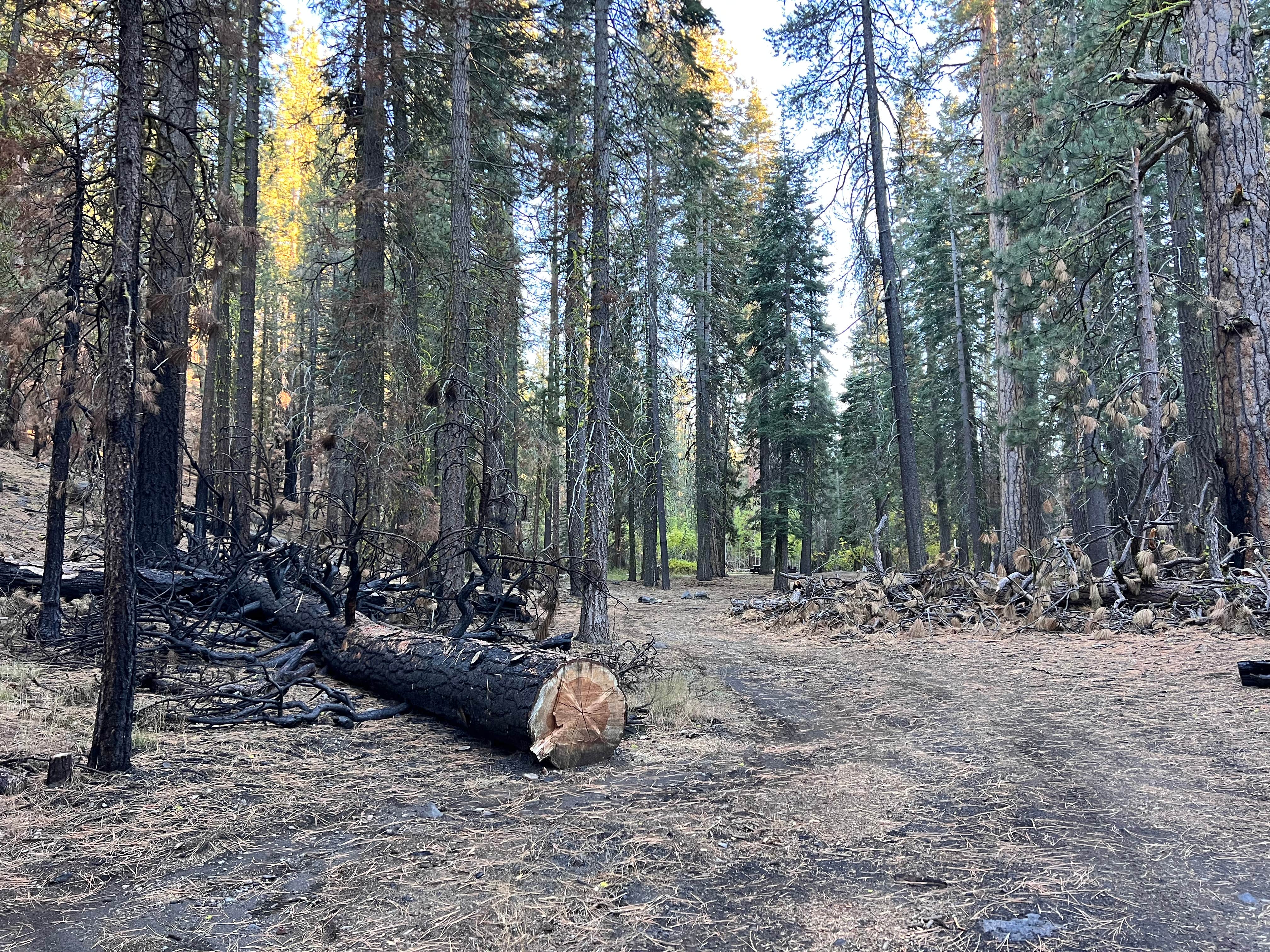 Camper-submitted photo at Butte Creek Campground near Lassen Volcanic National Park