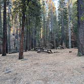 Review photo of Butte Creek Campground by Aliza  N., November 1, 2022