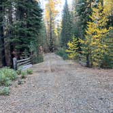 Review photo of Butte Creek Campground by Aliza  N., November 1, 2022