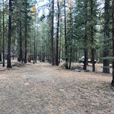 Review photo of Butte Creek Campground by Aliza  N., November 1, 2022