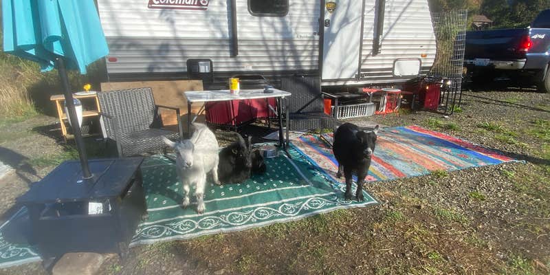 Camper submitted image from Pergrim Pharm