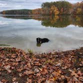 Review photo of Jackson's Island Campground - Dispersed by Chelsea H., November 1, 2022