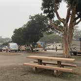 Review photo of Oceano Campground — Pismo State Beach by Jimmy H., November 1, 2022