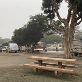 Review photo of Oceano County Campground by Jimmy H., November 1, 2022