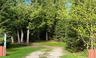 Camping near Merwin Creek State Forest Campground: Northland Outfitters, Seney, Michigan