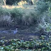 Review photo of Fort Stevens State Park Campground by Kelly L., September 12, 2018
