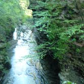 Review photo of Watkins Glen State Park Campground by Elliott B., August 8, 2016