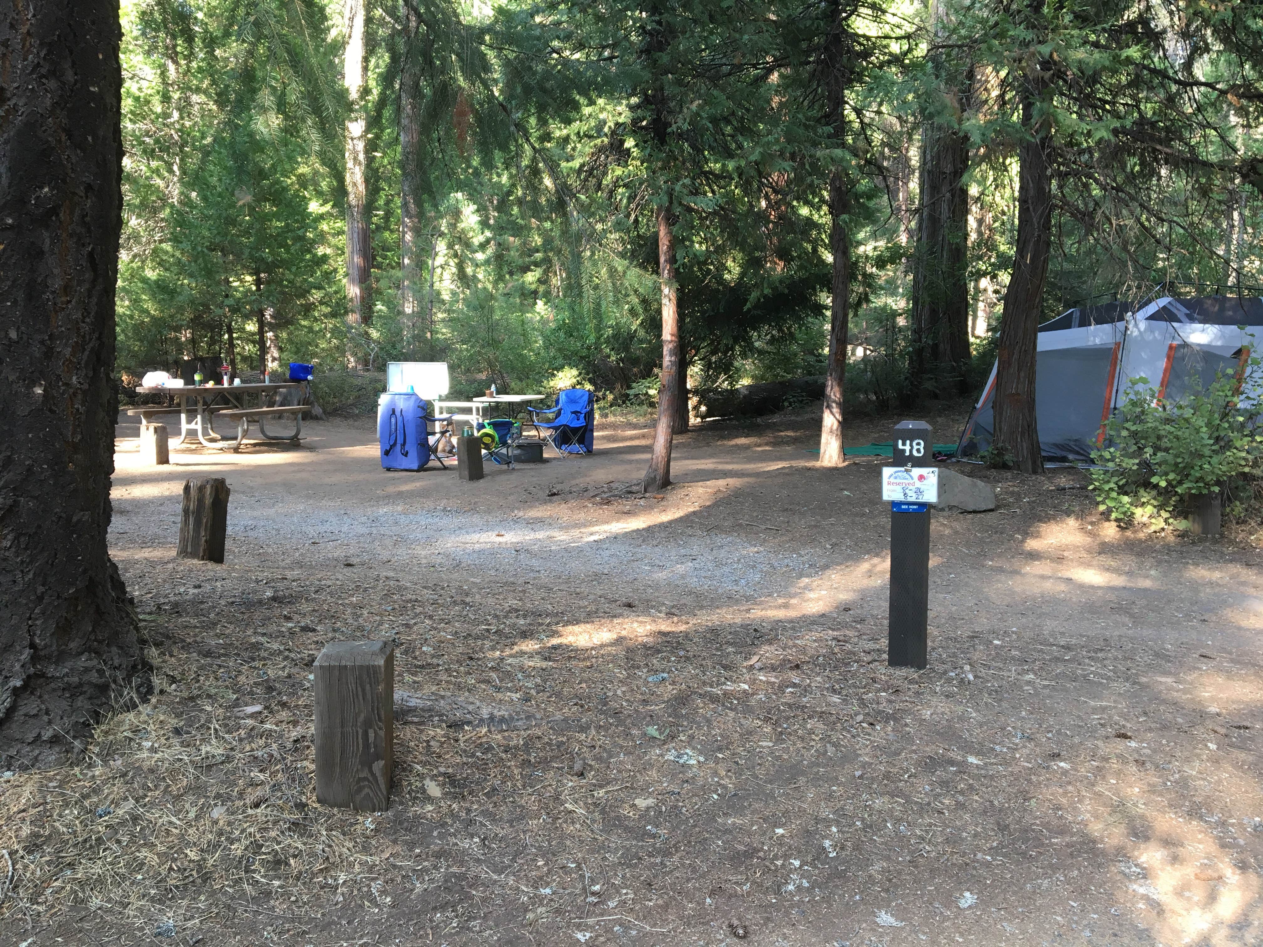 Camper submitted image from Pipi Campground - 2