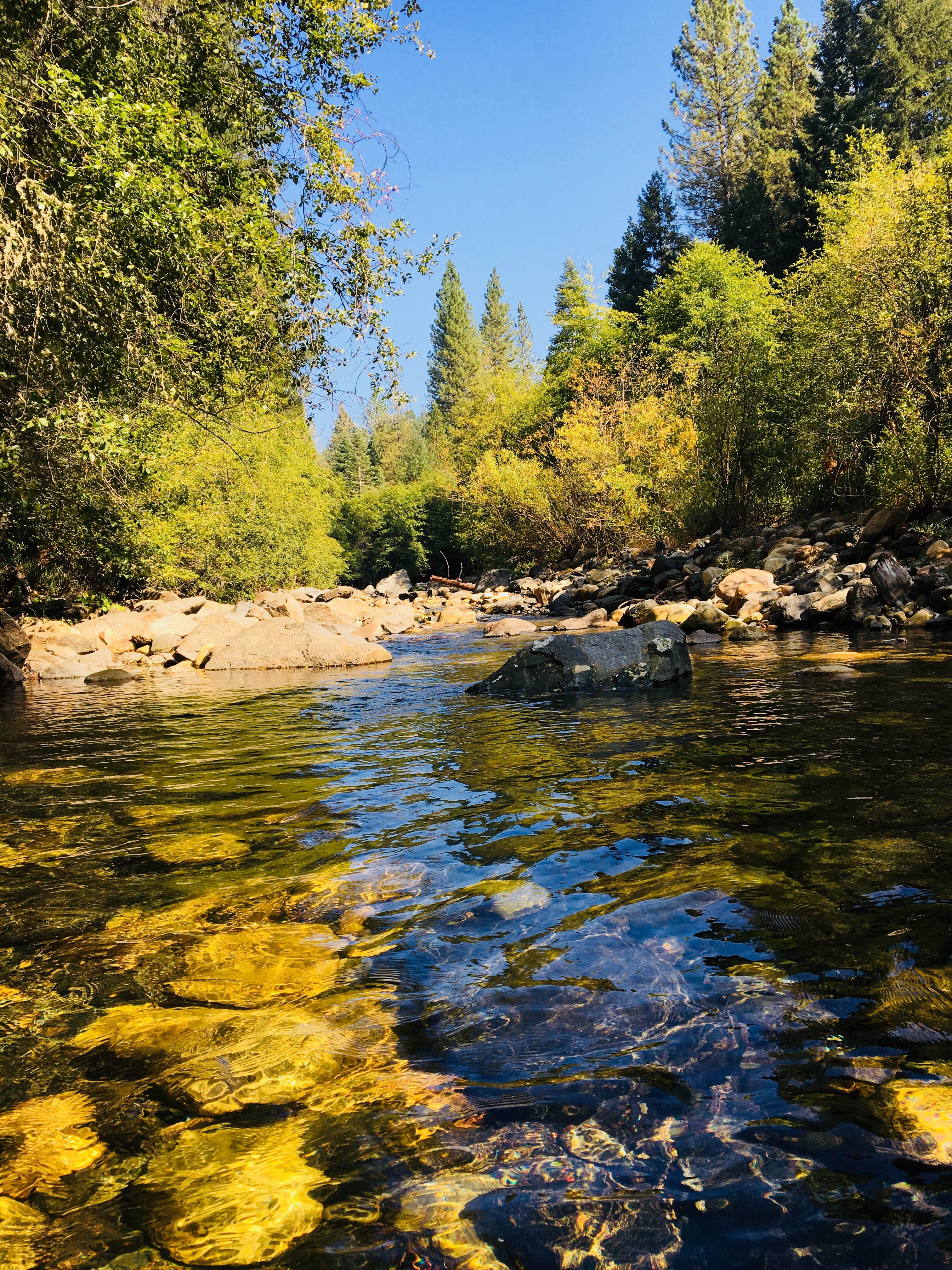 Camper submitted image from Pipi Campground - 5