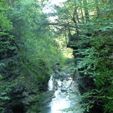 Review photo of Watkins Glen State Park Campground by Elliott B., August 8, 2016