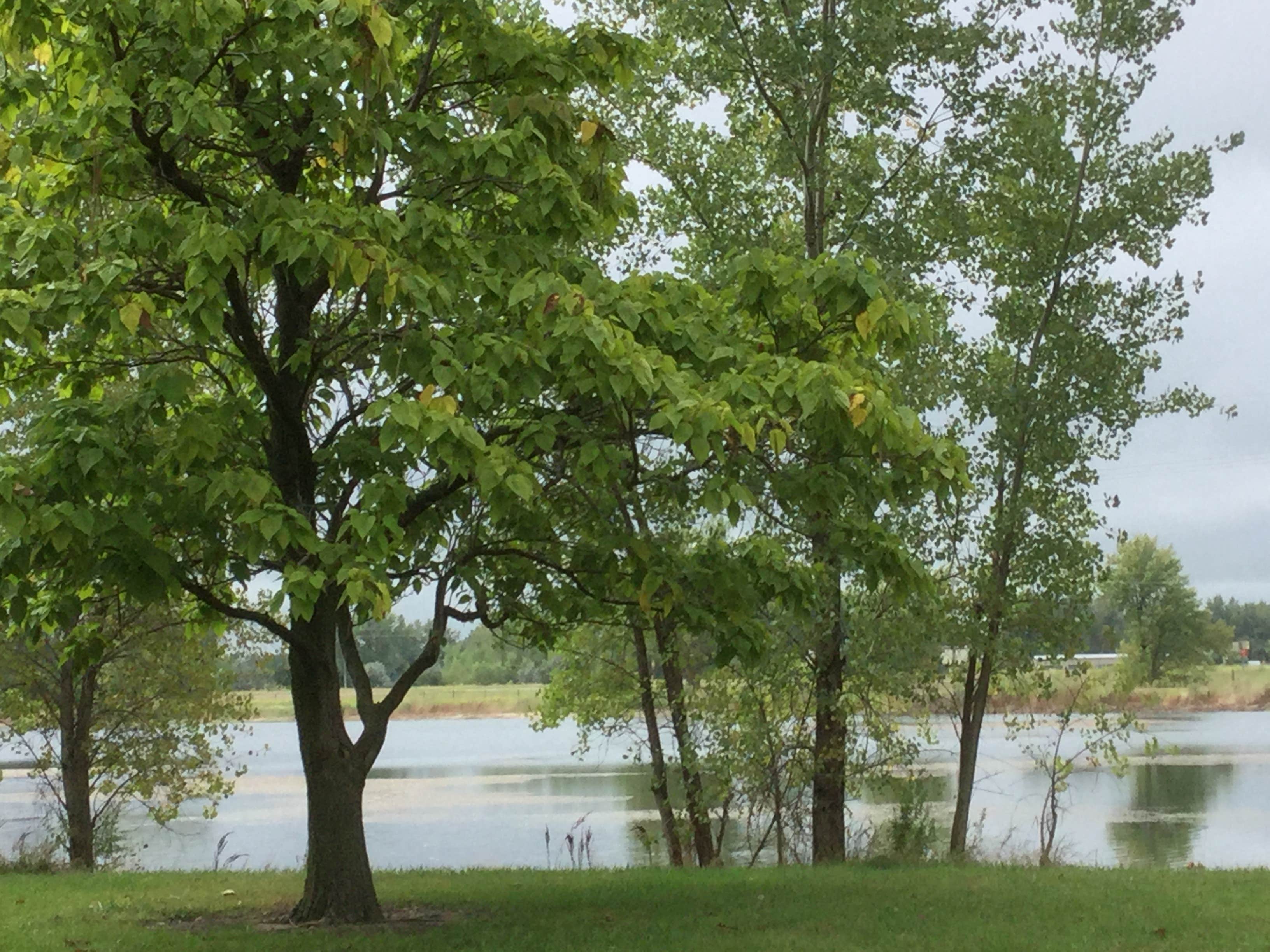 Camper-submitted photo at Union Pacific State Rec Area near Kearney, NE