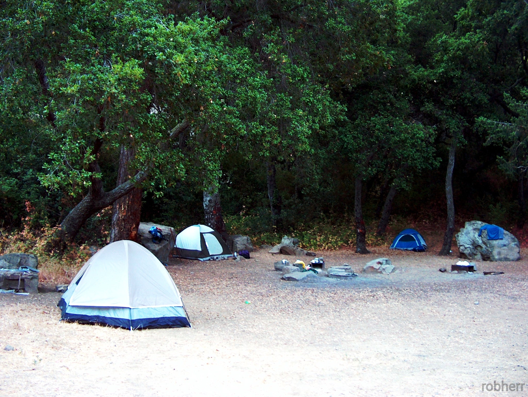 Camper submitted image from Big Cone Camp - Santa Paula Canyon - 1