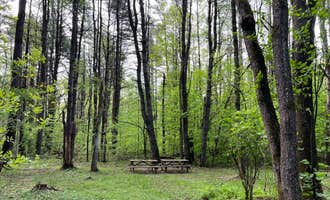 Camping near Watersedge Campground: Camp Hudson Pines, Corinth, New York