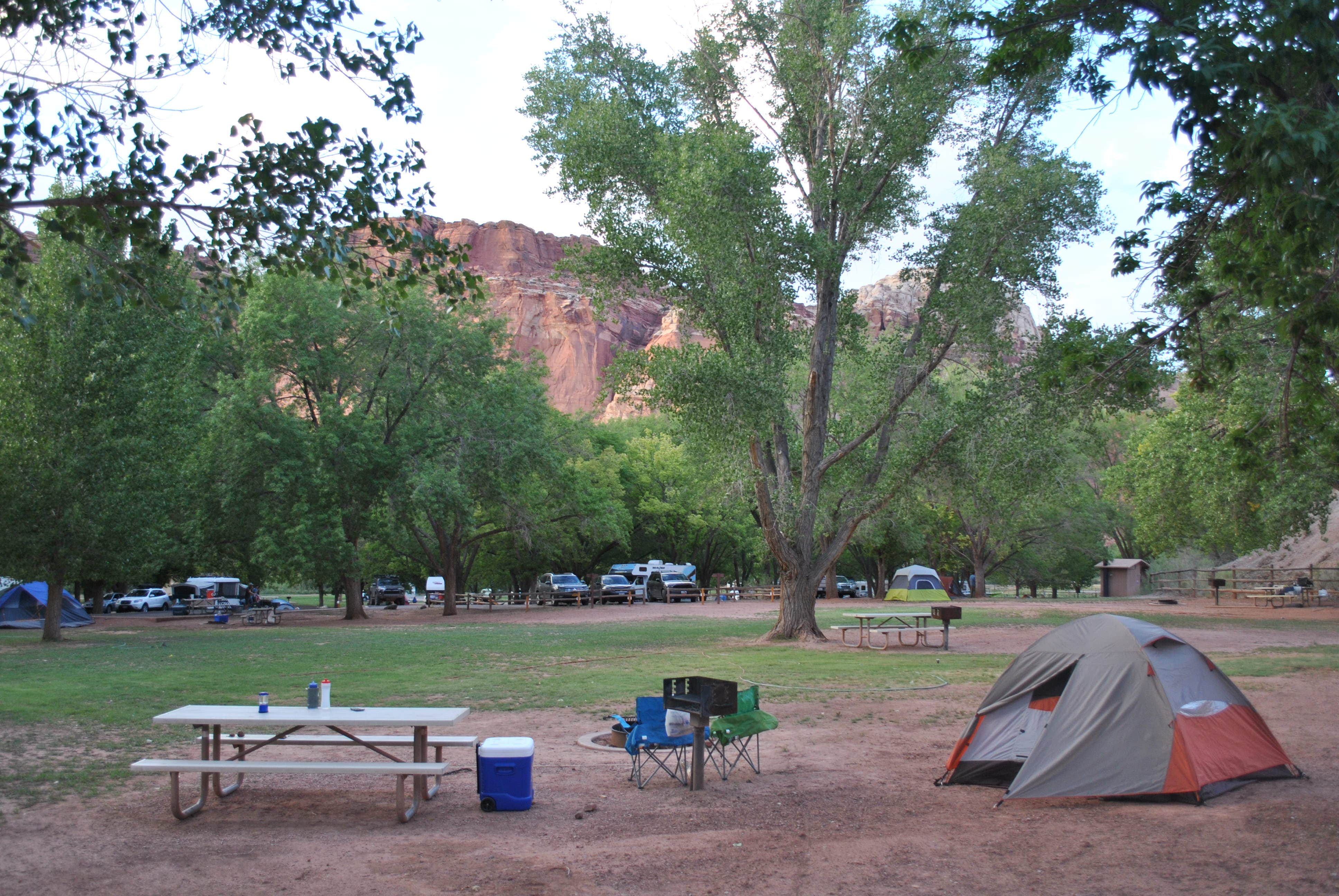 Jessica N.'s photo at Fruita Campground — Capitol Reef National Park near Capitol Reef National Park