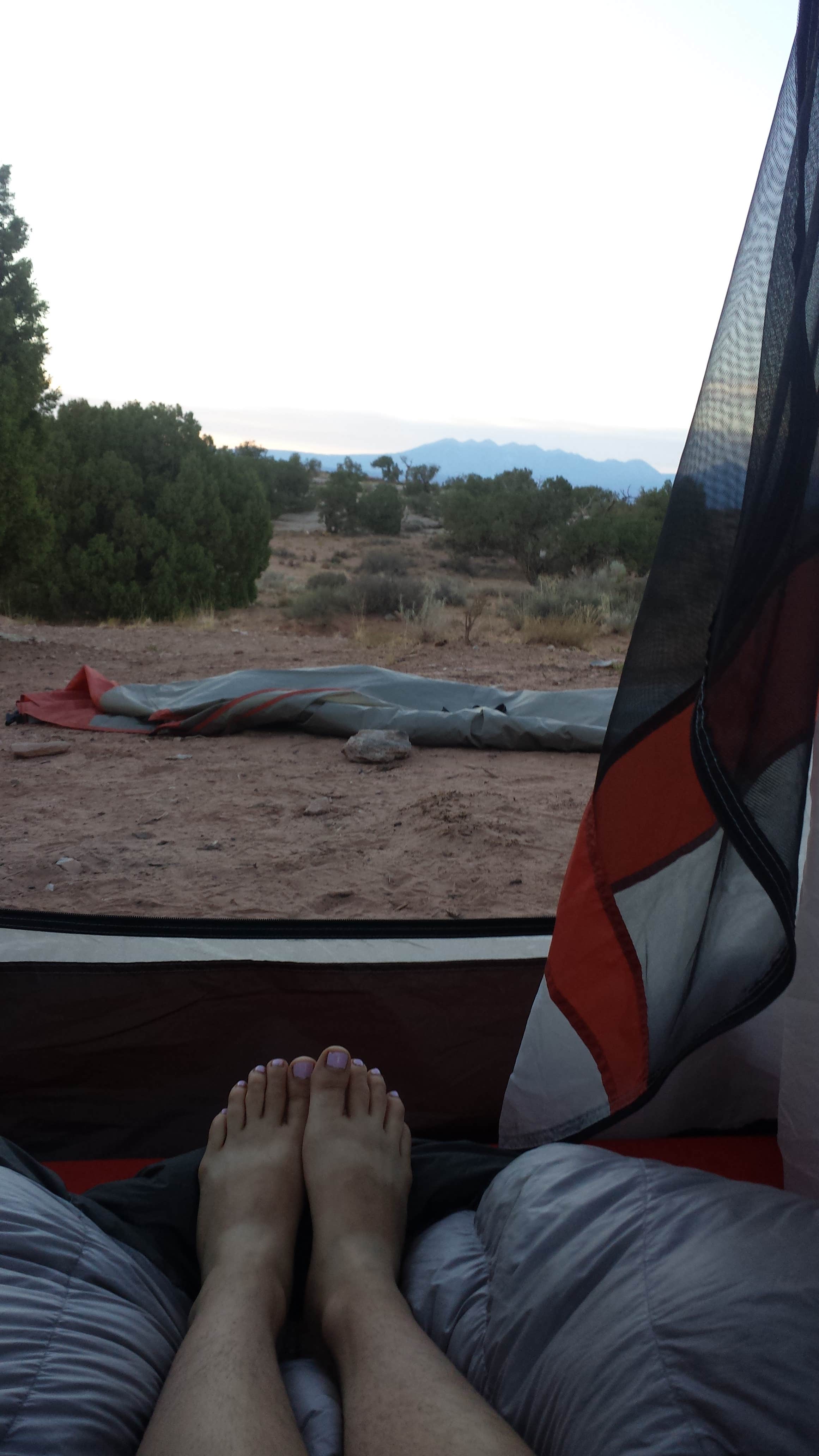 Camper submitted image from Willow Springs Trail - 4