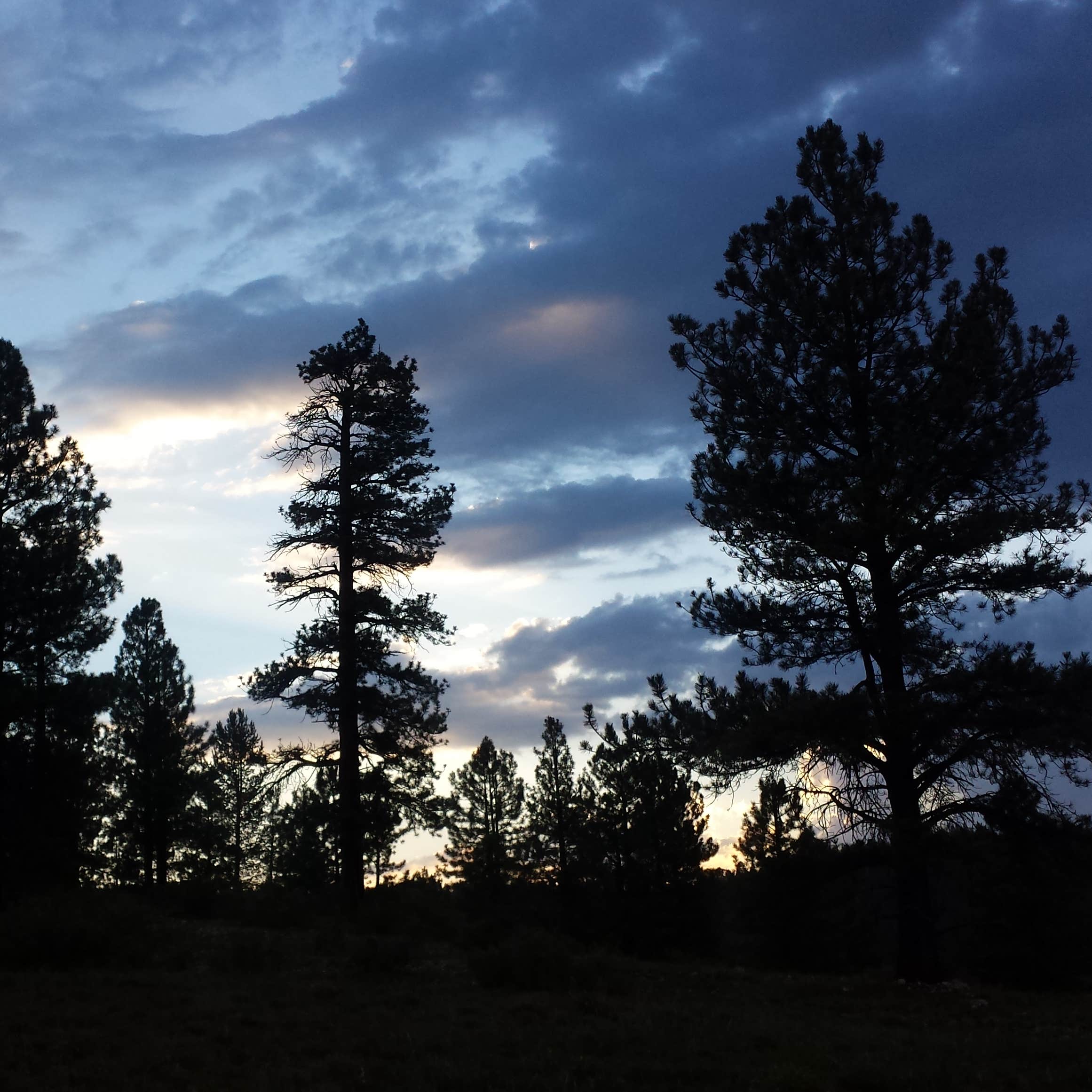 Uinta Flat Dispersed Camping | Duck Creek Village, UT