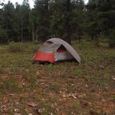 Review photo of Uinta Flat Dispersed by Jessica N., September 12, 2018