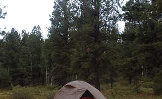 Jessica N.'s photo of a dispersed camping area at Uinta Flat Dispersed near Alton, UT