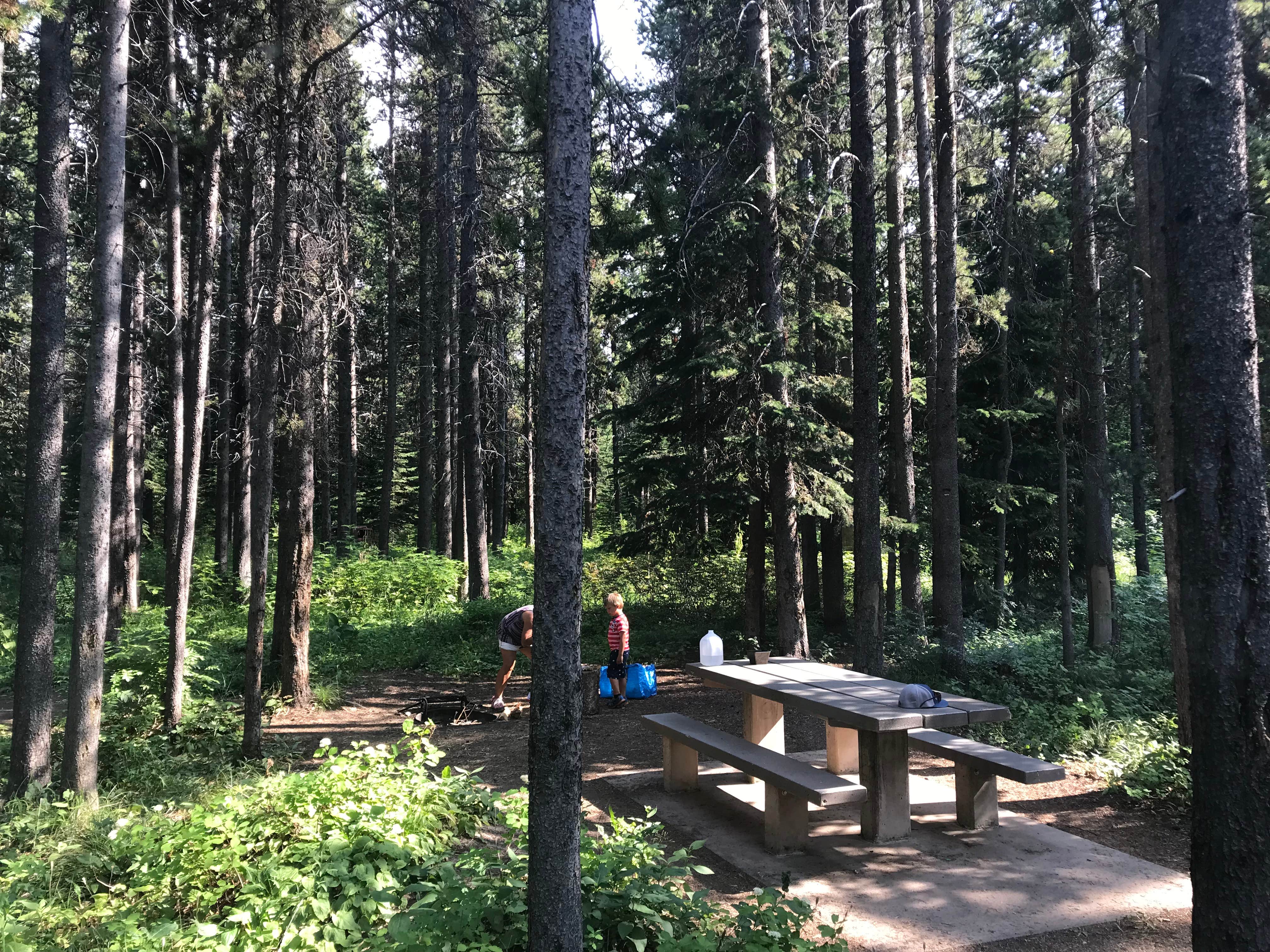 Camper submitted image from Summit Campground - 5