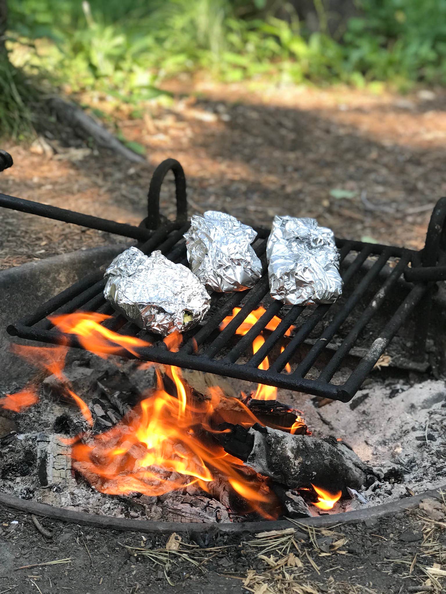 Angela M.'s photo at Summit Campground near Essex, MT