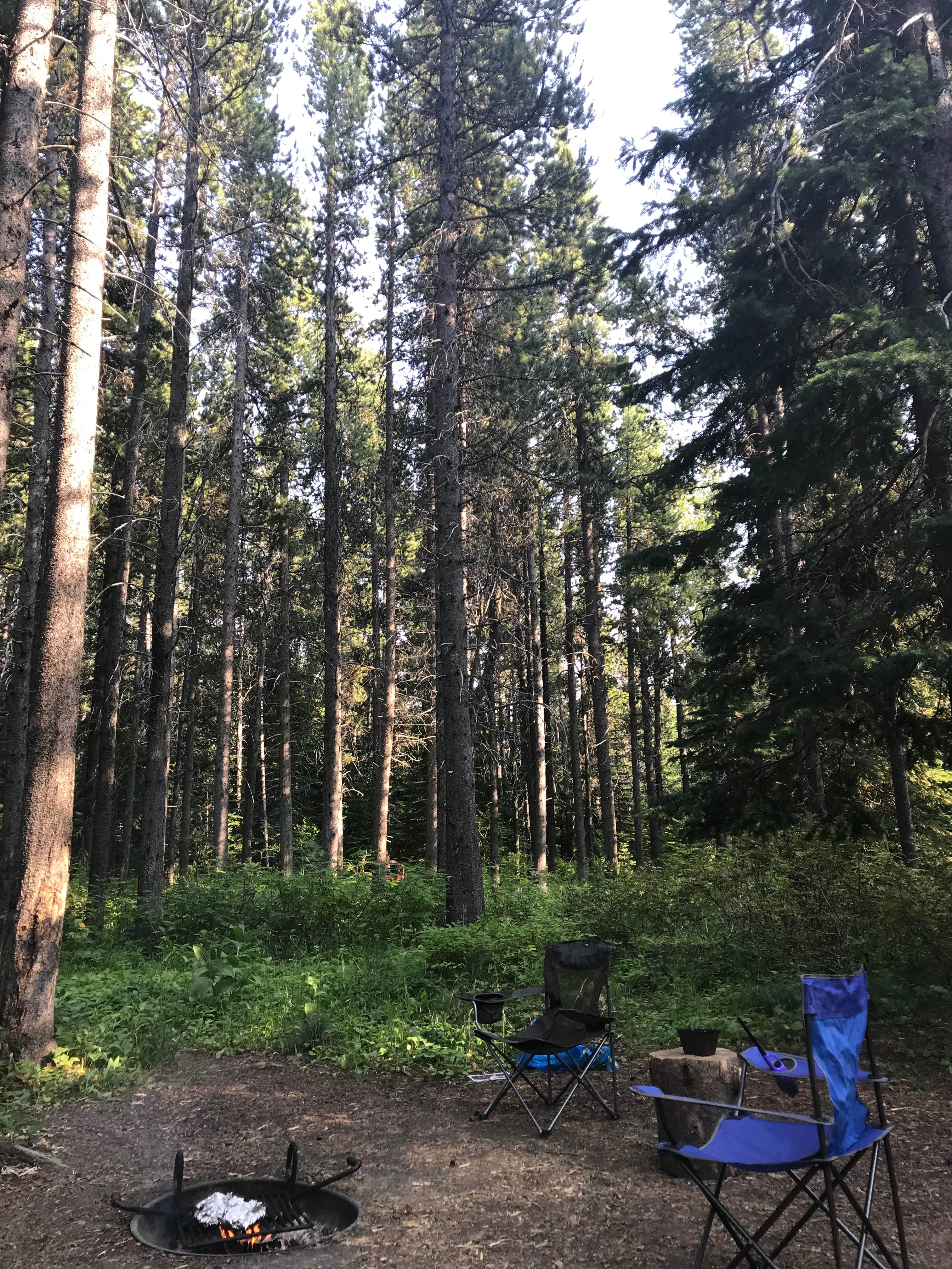 Angela M.'s photo at Summit Campground near Browning, MT