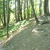 Review photo of Buttermilk Falls State Park Campground by Elliott B., August 8, 2016