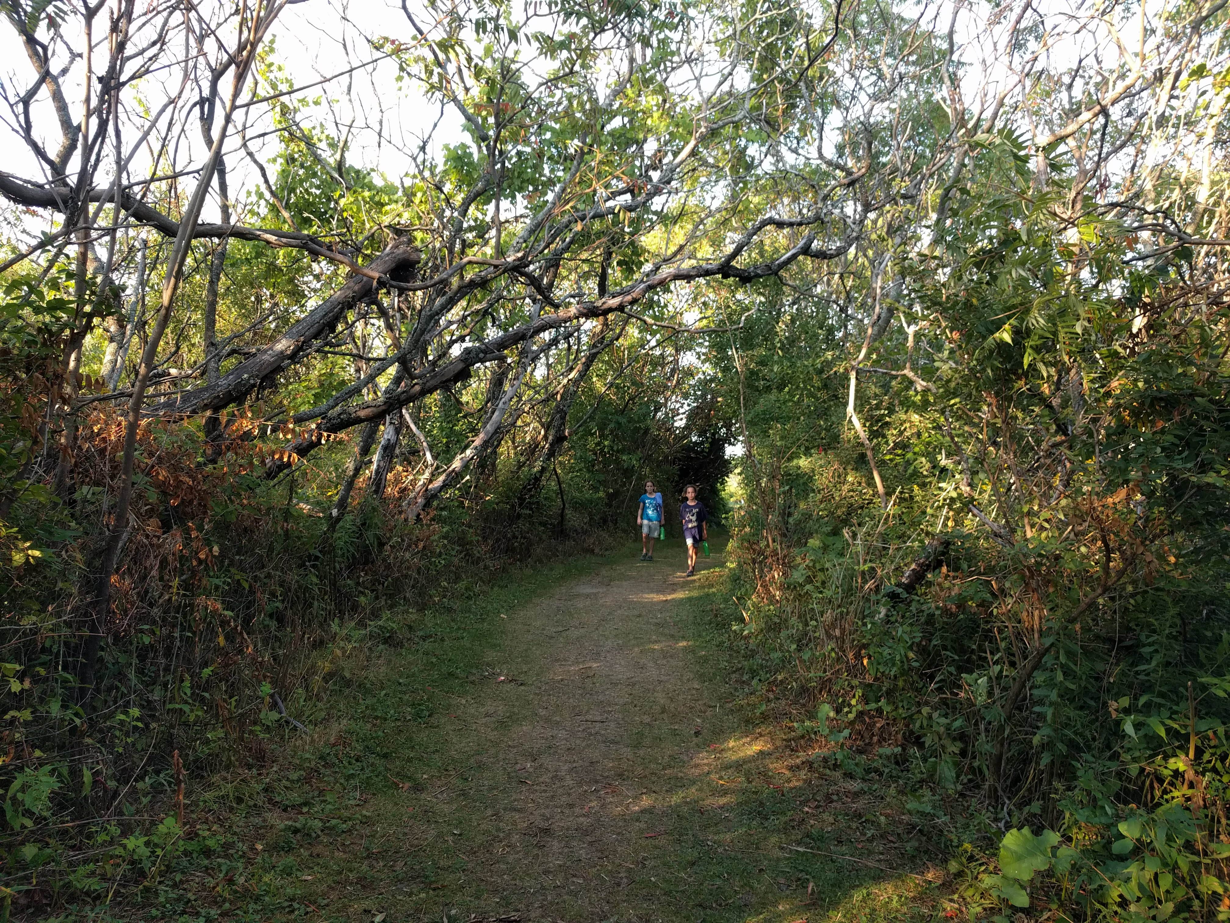 Burton Island State Park St. Albans Town VT