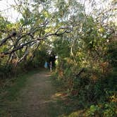 Review photo of Burton Island State Park Campground by Rita M., September 12, 2018