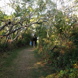 One of the paths across the island.