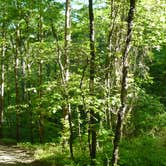 Review photo of Buttermilk Falls State Park Campground by Elliott B., August 8, 2016